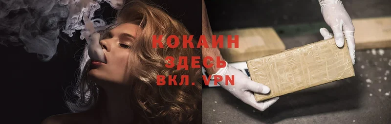 Cocaine FishScale  где можно купить   Вологда 